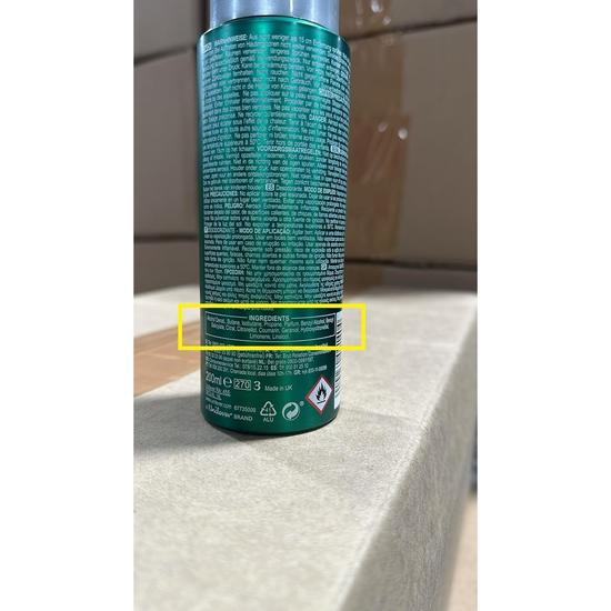 Brut Original Long Lasting Efficacy Deodorant Spray 200ml