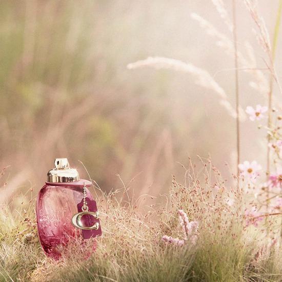 Coach Wild Rose Eau De Parfum 90ml