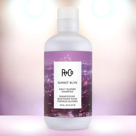 R+Co Sunset Blvd Daily Blonde Shampoo 241